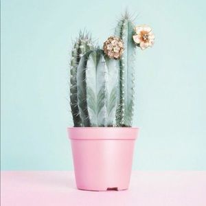 Meet your Posher, Dahmtin